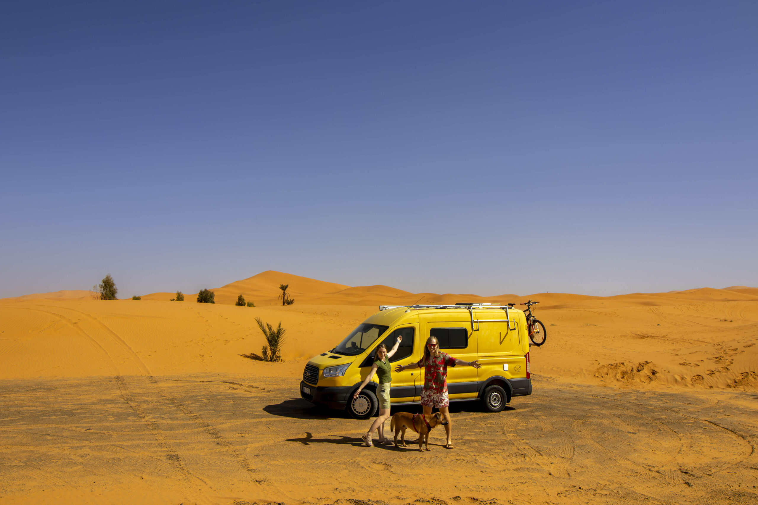 Services IMG 9476 Enhanced NR Scaled